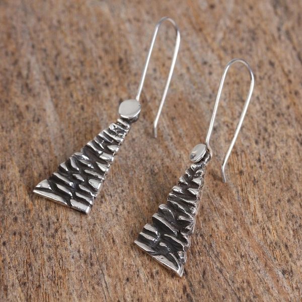 Alternate image for Modern Taxco Sterling Silver Dangle Earrings from Mexico Taxco Texture
