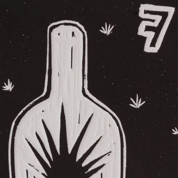 Alternate image for The Bottle The Bottle Tequila Lotto
