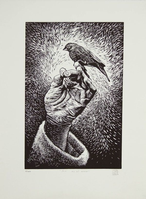 Image for Etched Print of Mexican Canary Signed Limited Edition Such Is Love