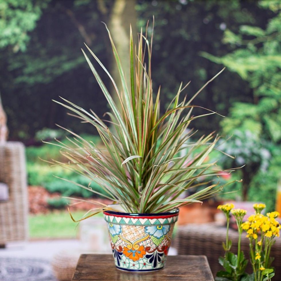 Talavera Style Colorful Floral Ceramic Flower Pot 6.5 inch 'Sunlit Garden'