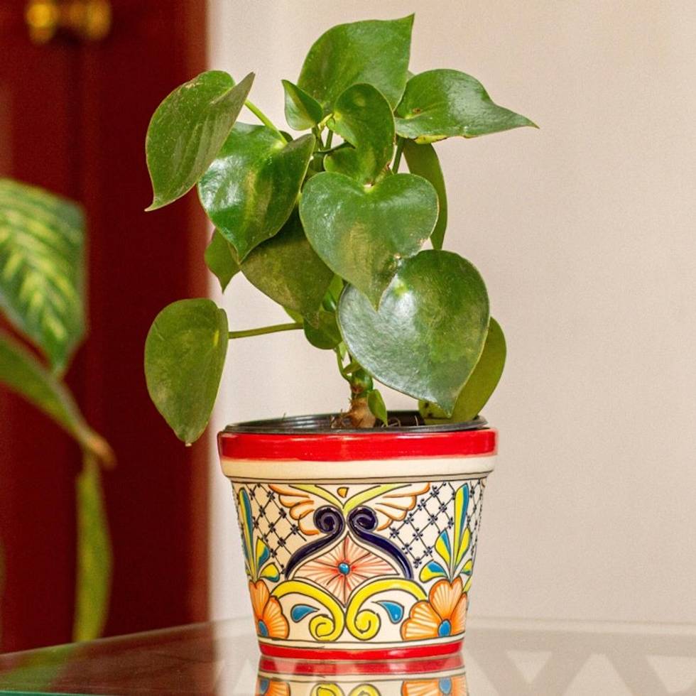 Ceramic Flower Pot from Mexico 6.25 Inch Diameter 'Colorful Mercado'