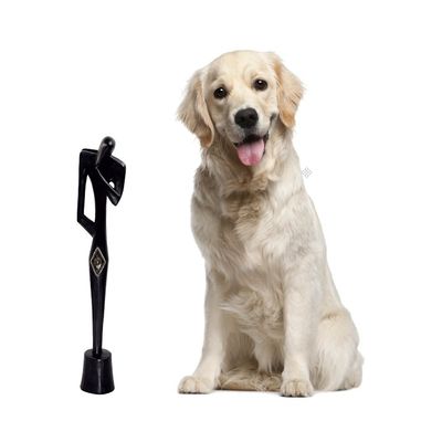 Alternate image for Hand Carved Sese Wood and Brass Sculpture from Ghana Dwenewoho Statue II