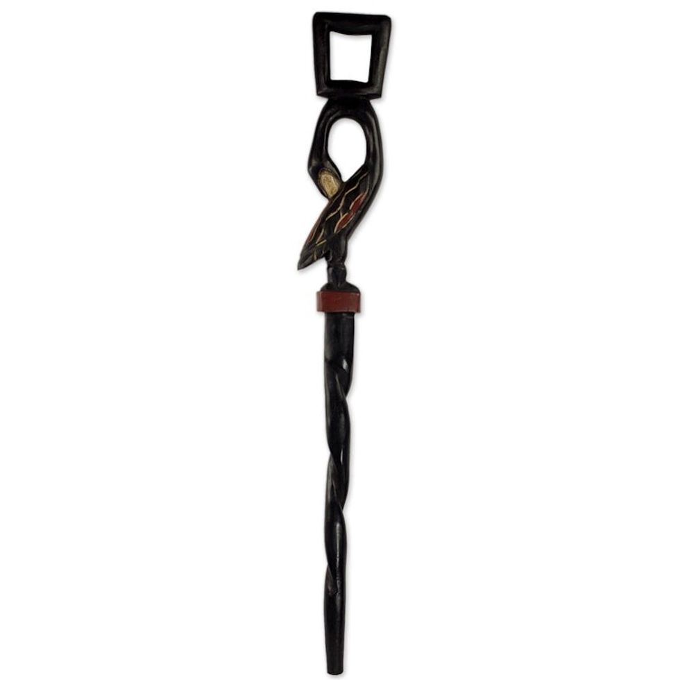 Hand Carved Wood Walking Stick Featuring Bird Motif Handle 'Tracing Roots'