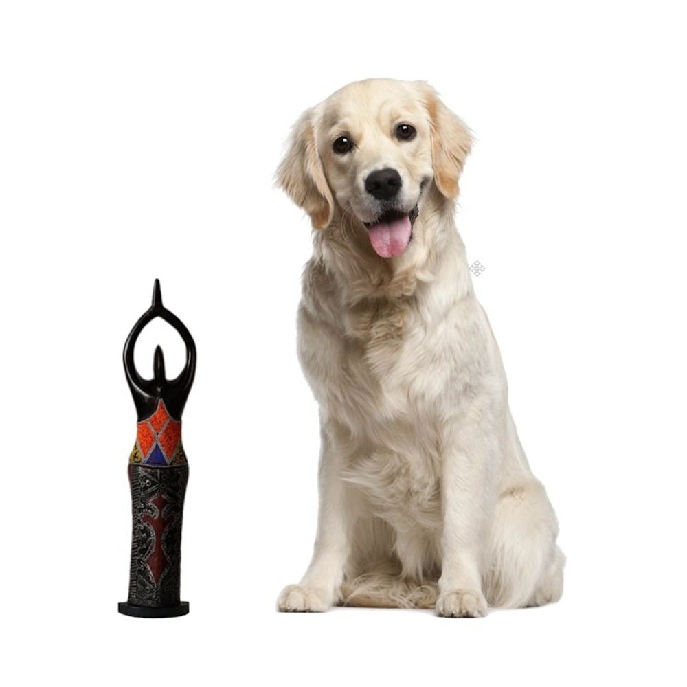 Alternate item image