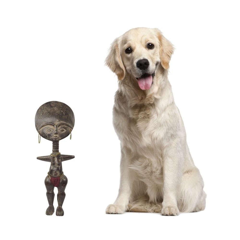 Alternate item image