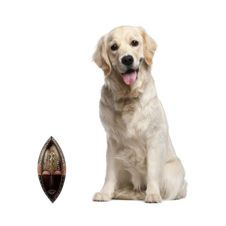 Alternate item image