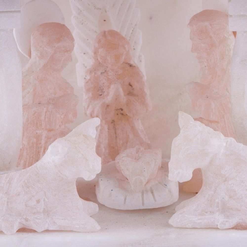 Alternate item image