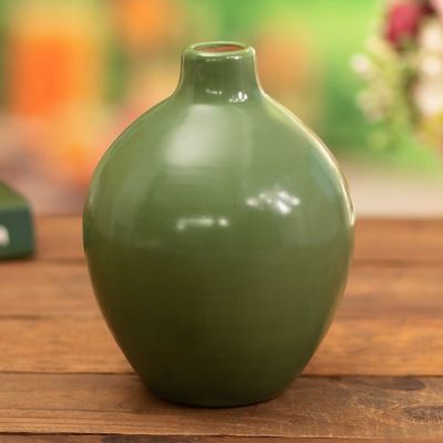 Alternate image for Green Chulucanas Ceramic Decorative Vase Handmade in Peru Fresh Air