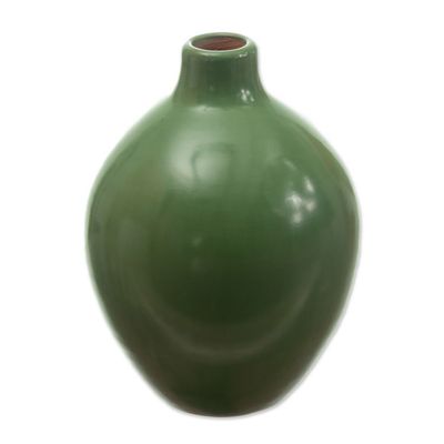 Alternate image for Green Chulucanas Ceramic Decorative Vase Handmade in Peru Fresh Air