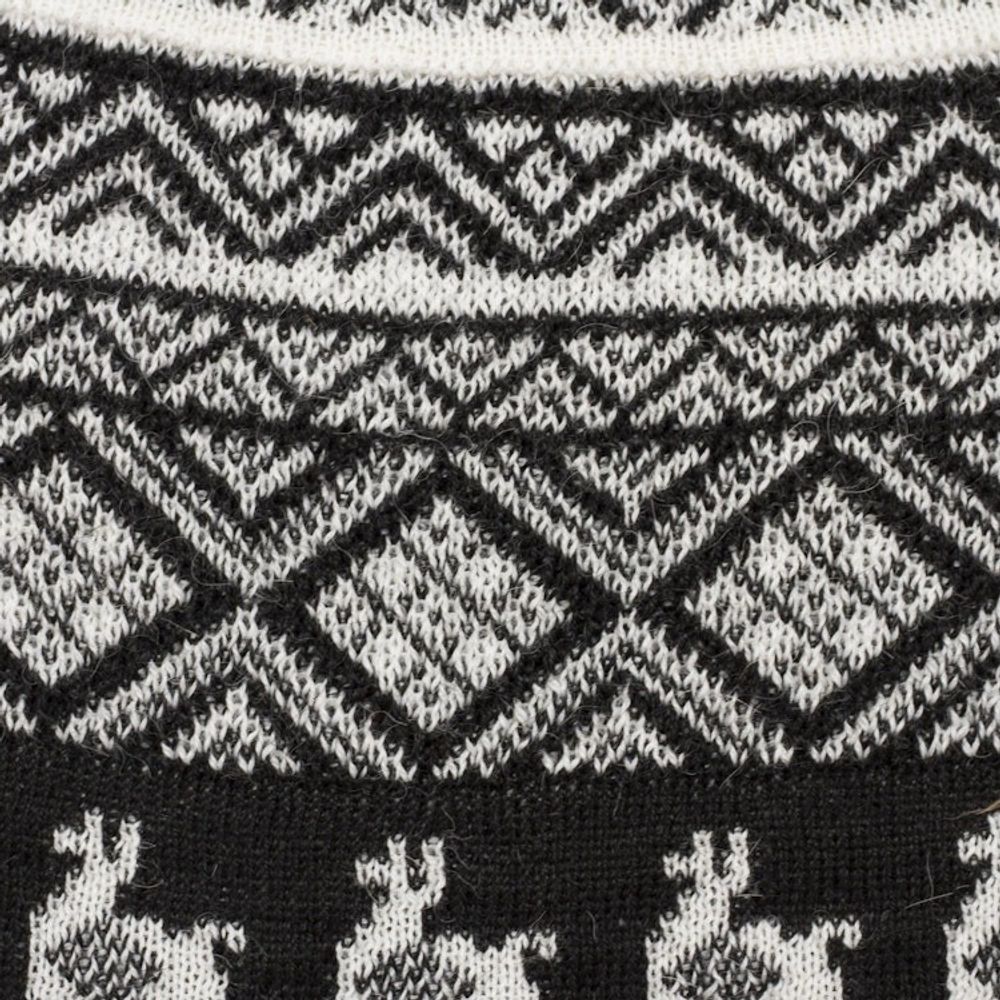 Alternate item image