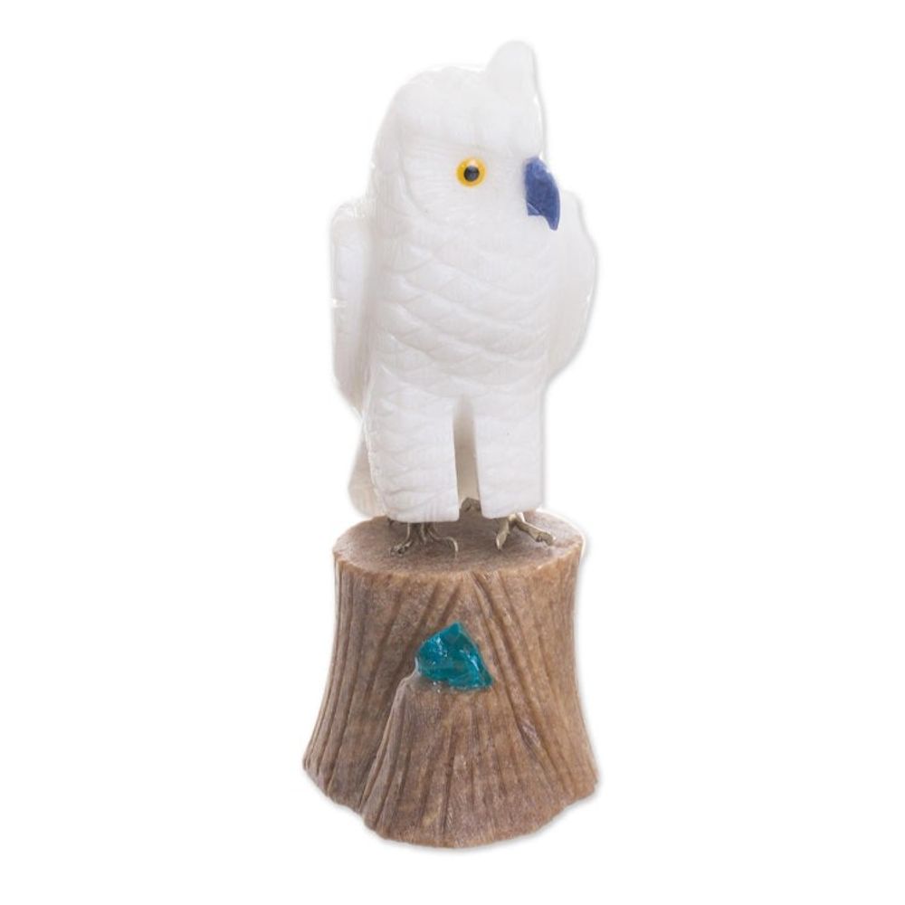 Alternate item image