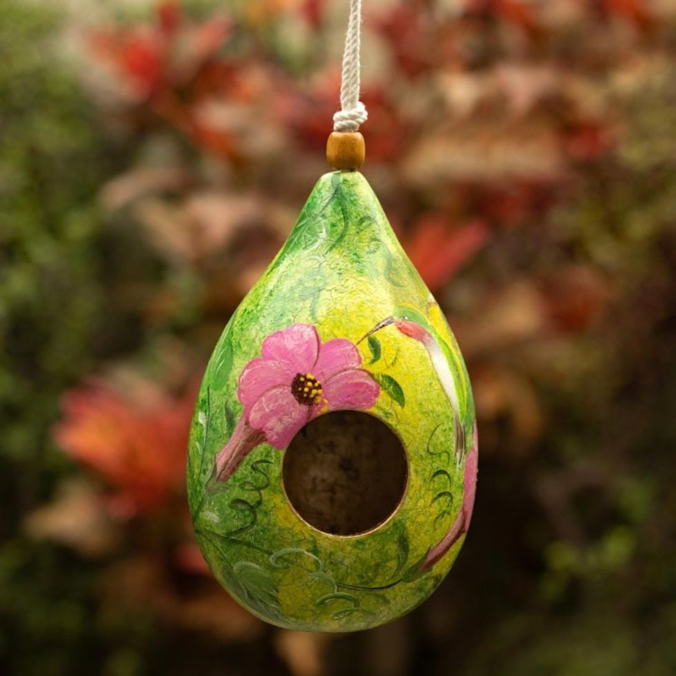 Hummingbird-Themed Green Dried Gourd Bird House from Peru 'Hummingbird Lair'