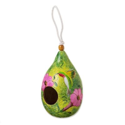 Alternate image for Hummingbird-Themed Green Dried Gourd Bird House from Peru Hummingbird Lair