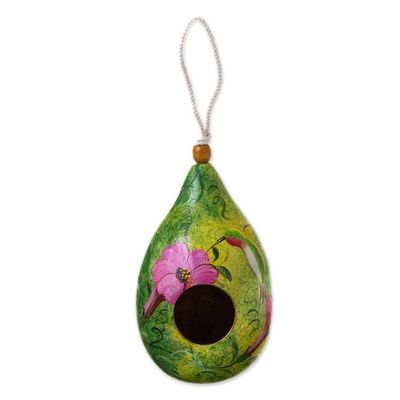 Alternate image for Hummingbird-Themed Green Dried Gourd Bird House from Peru Hummingbird Lair