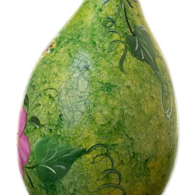 Alternate image for Hummingbird-Themed Green Dried Gourd Bird House from Peru Hummingbird Lair