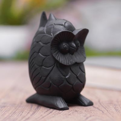 Alternate image for Artisan Crafted Suar Wood Owl Eyeglass Holder To See You in Black
