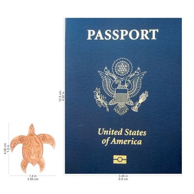 Alternate image for Turtle Bone Pendant Necklace with Leather Cord from Bali Gliding Turtle