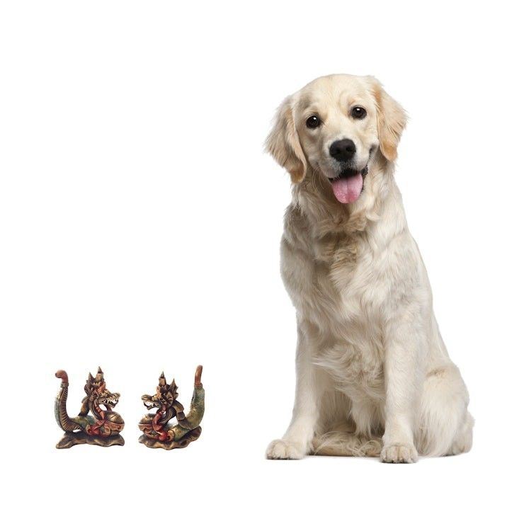 Alternate item image