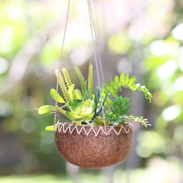 Alternate image for Hanging Coconut Shell Plant Pot In the Rough
