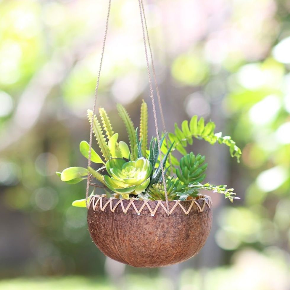 Hanging Coconut Shell Plant Pot 'In the Rough'