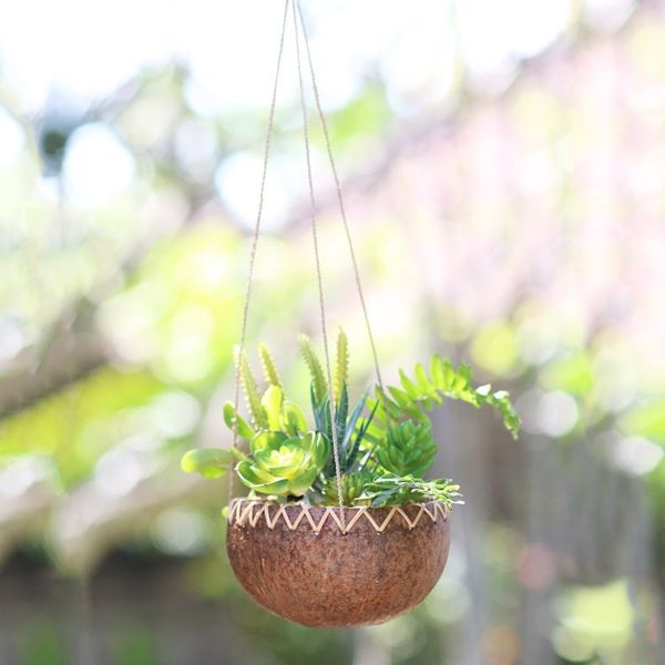 Alternate image for Hanging Coconut Shell Plant Pot In the Rough