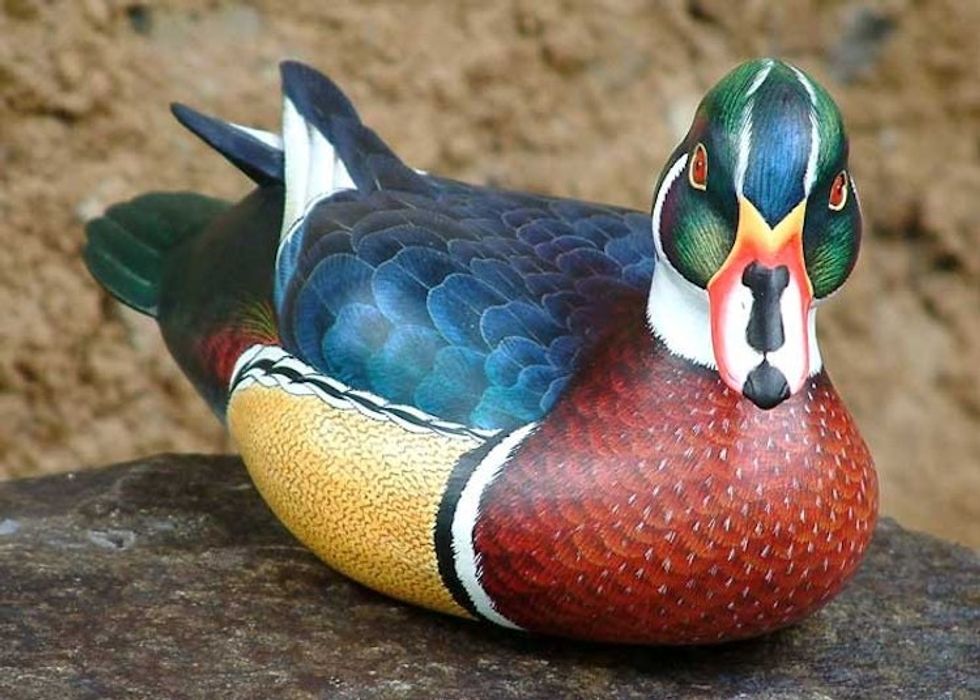 Artisan Crafted Albesia Wood Carolina Duck Carving Statuette 'Carolina Wood Duck'