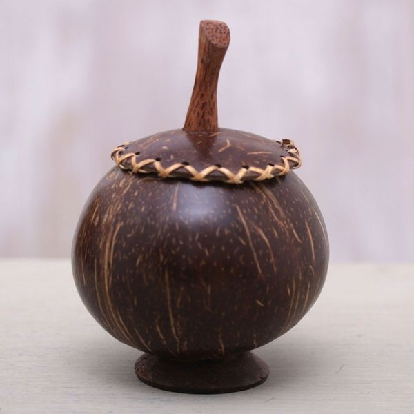 Alternate image for Coconut Shell Decorative Box Hand Carved in Bali Berry Keeper
