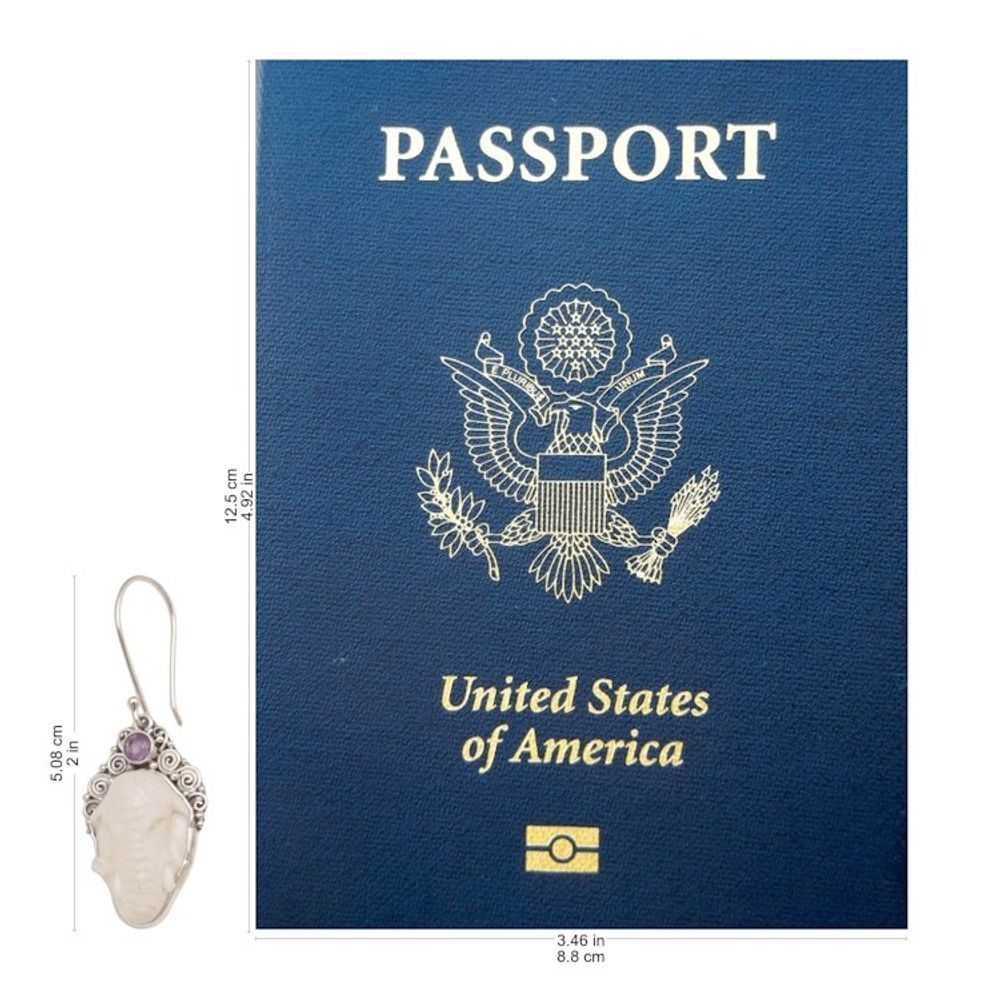 Alternate item image