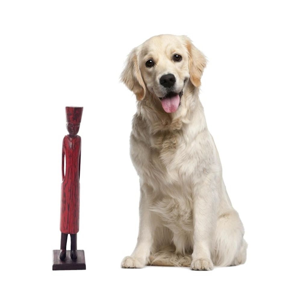 Alternate item image