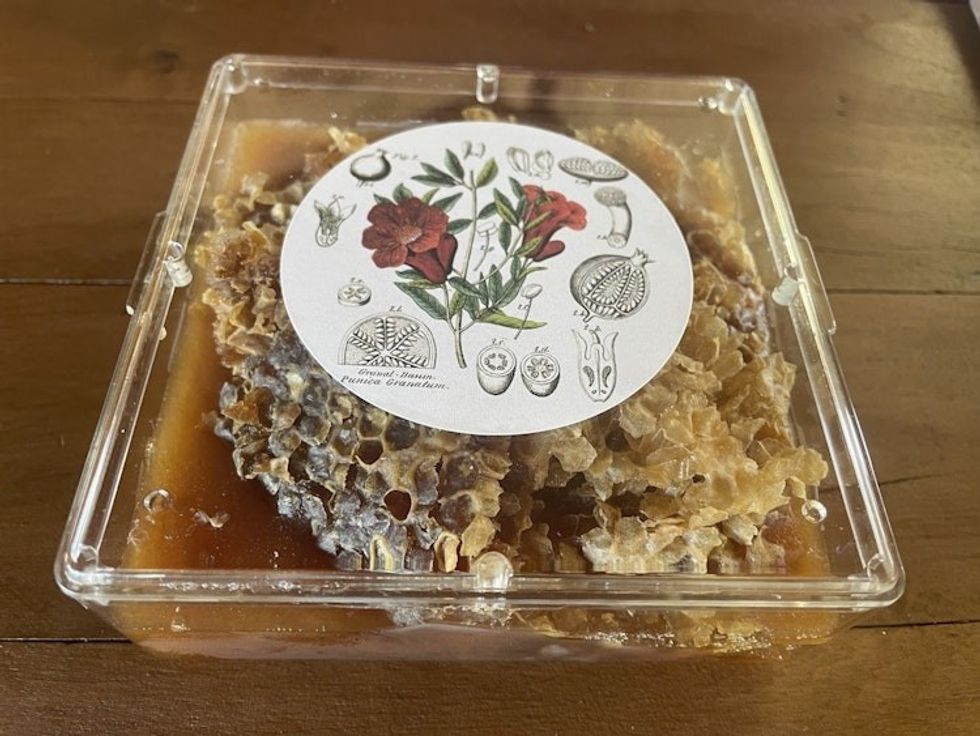 THE BEE GIRLS pure, raw, unfiltered, unpasteurized, crystallized wildflower comb honey bits