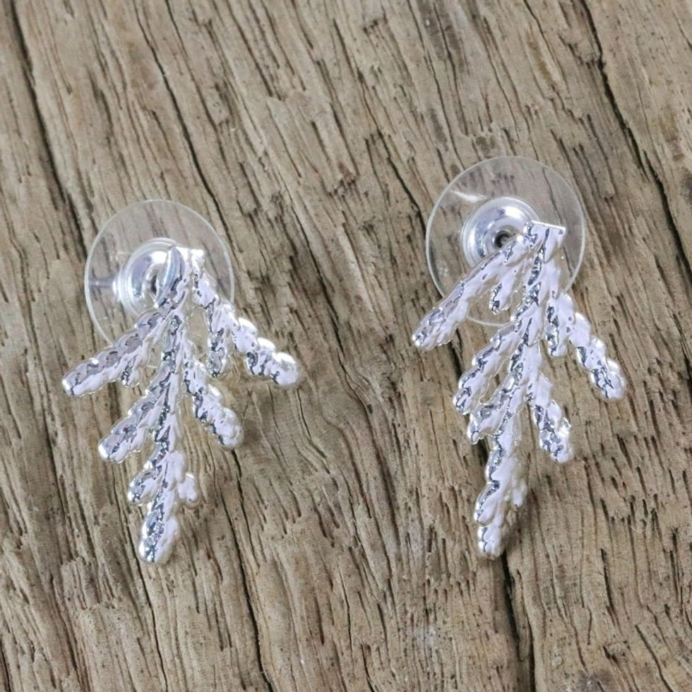 Silver Plated Natural Cypress Leaf Earrings from Thailand 'Natural Needles'