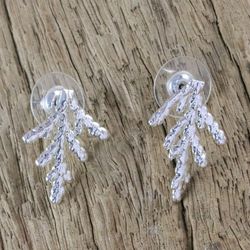Image for Silver Plated Natural Cypress Leaf Earrings from Thailand Natural Needles