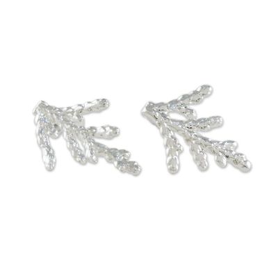 Alternate image for Silver Plated Natural Cypress Leaf Earrings from Thailand Natural Needles