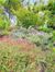 Nature Girl’s Garden