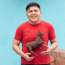 William Meneses