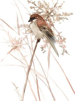 Image for Sparrow in the Field, original watercolor painting by artist Suren