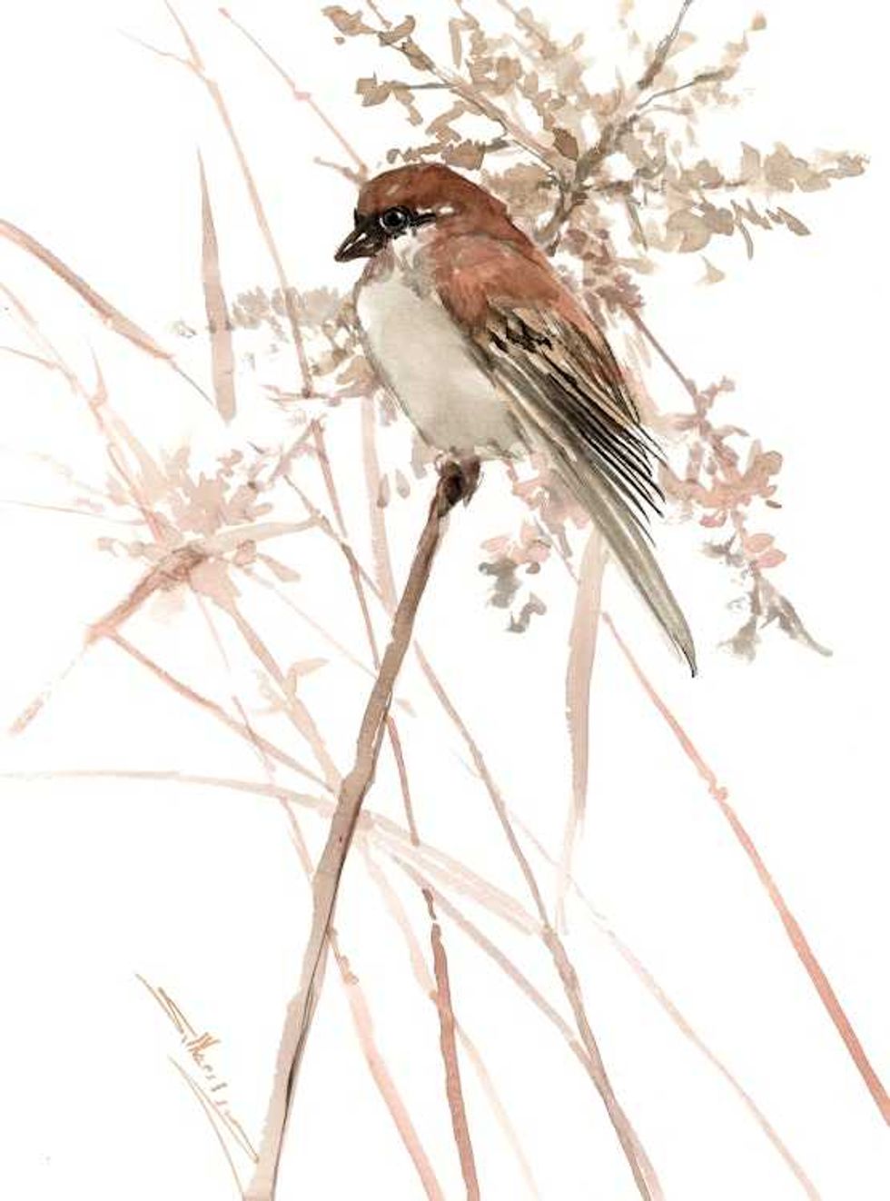 Sparrow in the Field, original watercolor painting by artist Suren