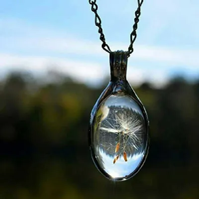 Alternate image for Wish Necklace, Dandelion Seed Pendant, 3 Seeds, 3 Wishes