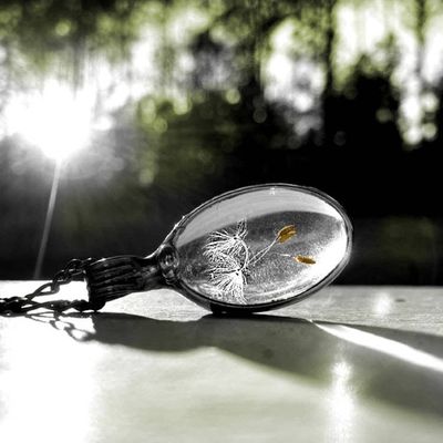 Alternate image for Wish Necklace for Women, 4 Seed, Handmade Dandelion Seed Pendant