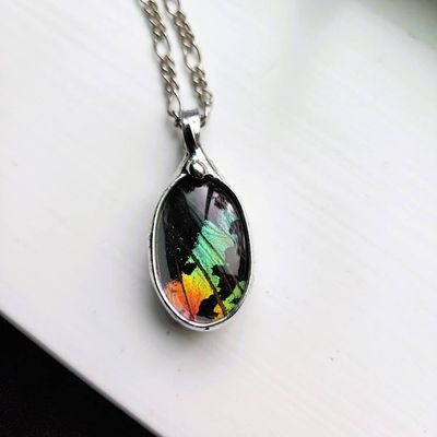 Alternate image for Bright Butterfly Wing Pendant Necklace for Women, Real Sunset Moth Wing Jewelry, Naturally Colorful Insect