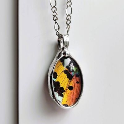 Alternate image for Bright Butterfly Wing Pendant Necklace for Women, Real Sunset Moth Wing Jewelry, Naturally Colorful Insect