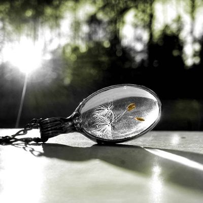 Alternate image for Dandelion Seed Necklace, Wish Jewelry, Dandelion Jewelry, 3 Seeds, Three Wishes