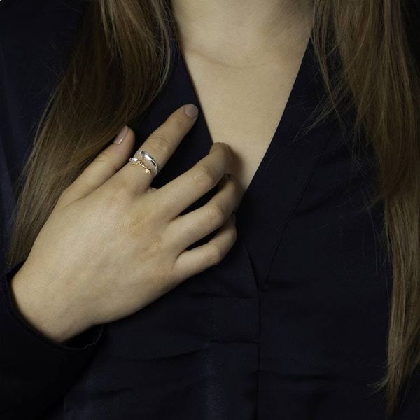 Alternate image for Sword Bypass Ring