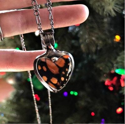 Alternate image for Butterfly Wing Necklace for Women, Heart Pendant, Real Monarch Butterfly Jewelry, Valentines Gift for Her