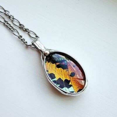 Alternate image for Butterfly Wing Pendant Necklace for Women, Real Sunset Moth Wing Jewelry, Insect Jewelry, Quality Glass Not Resin