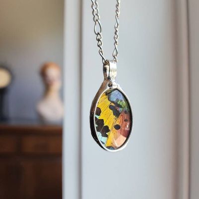 Alternate image for Butterfly Wing Pendant Necklace for Women, Real Sunset Moth Wing Jewelry, Insect Jewelry, Quality Glass Not Resin