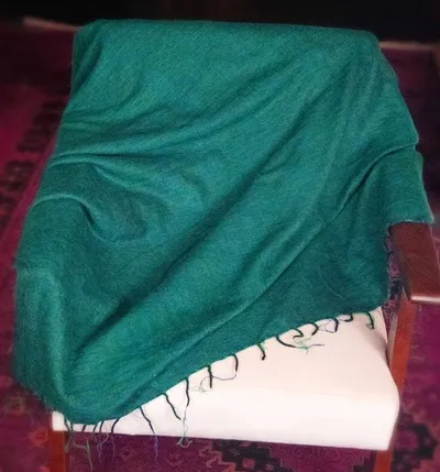 Alternate image for Handloomed Soft, Warm Yak Wool Throw Blanket or Wrap - Green with Blue Highlights