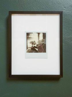 Image for One of a Kind Framed Polaroid Floral Photograph