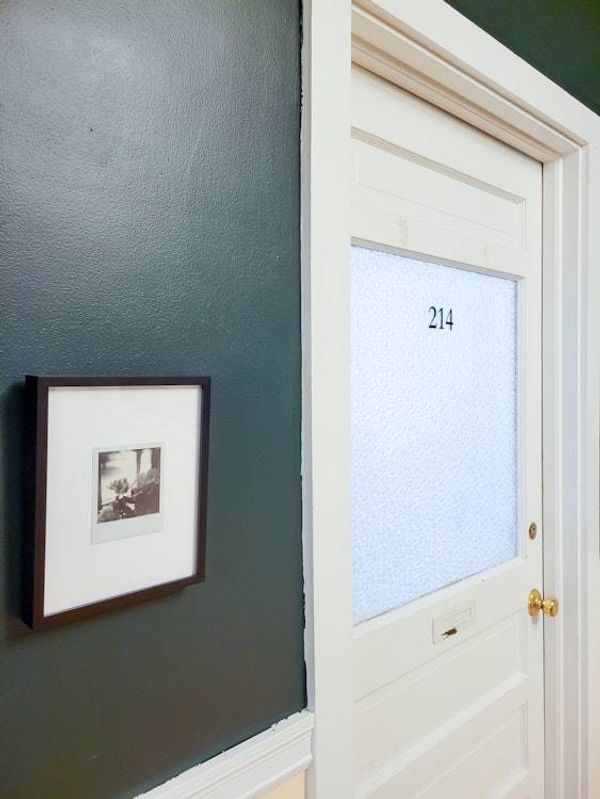 Alternate image for One of a Kind Framed Polaroid Peony Photograph