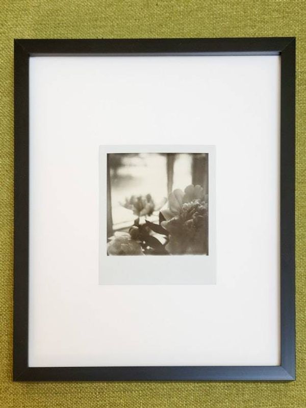 Alternate image for One of a Kind Framed Polaroid Peony Photograph